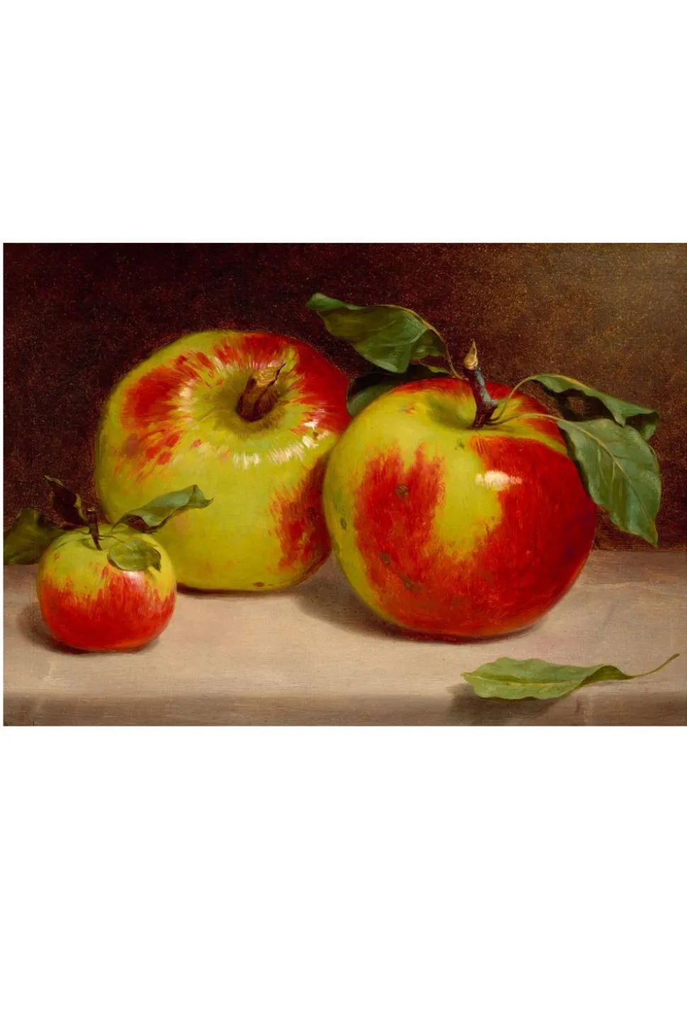 art_print__study_of_apple_1.webp Art Print - Study Of Apples