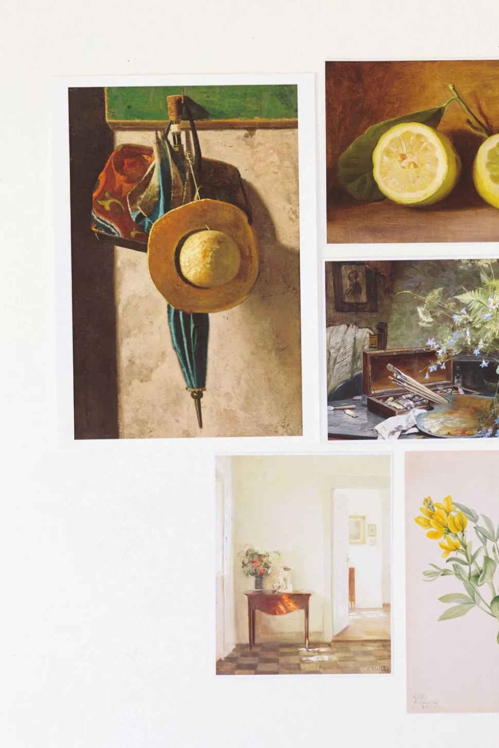 art_print_set__the_natura_1.webp Art Print Set - The Naturalist