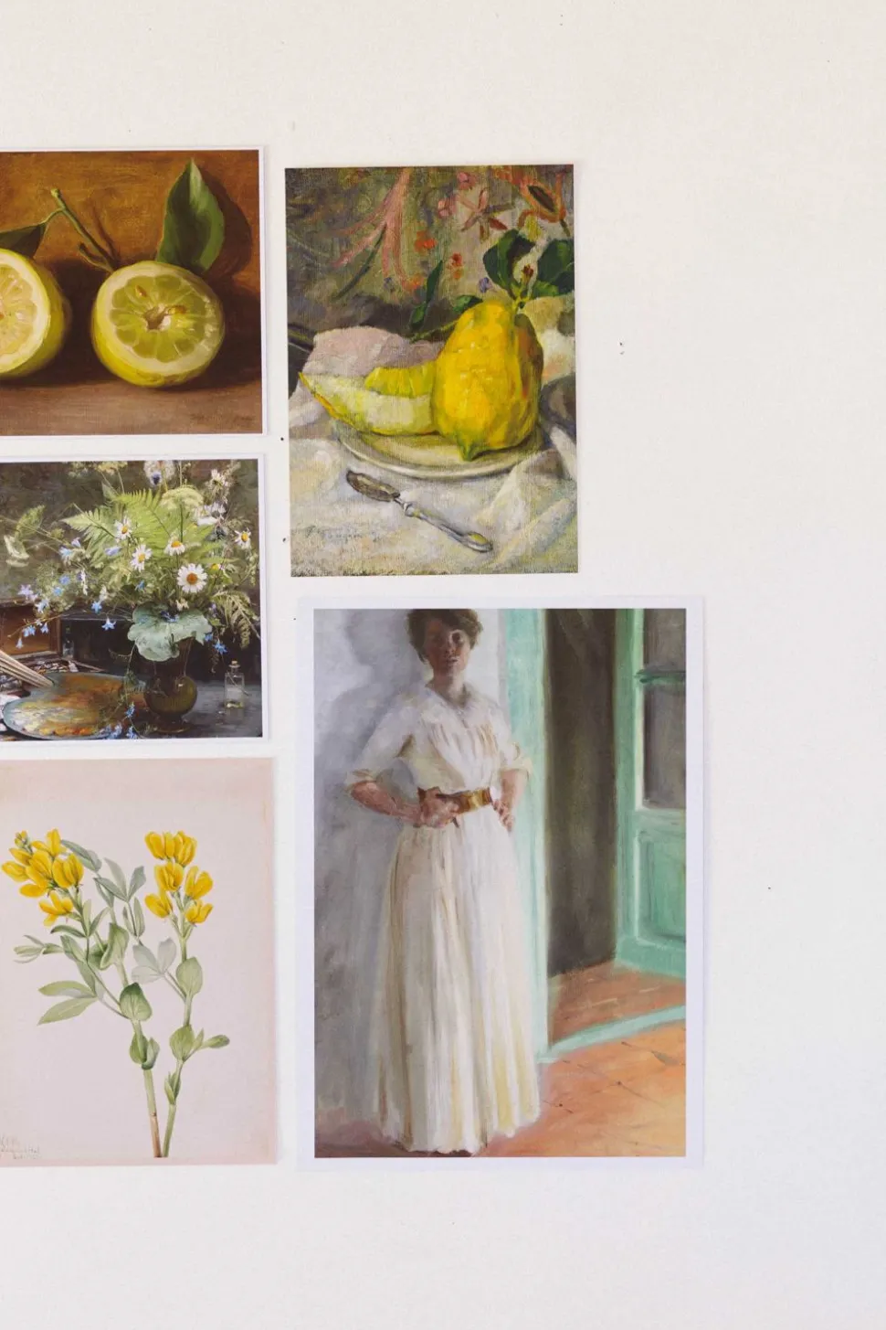 art_print_set__the_natura_2.webp Art Print Set - The Naturalist