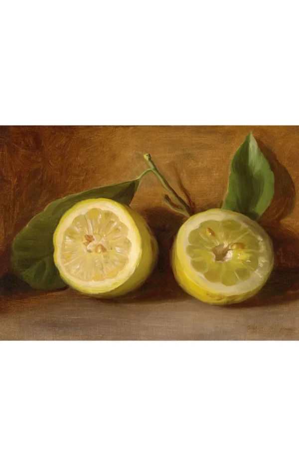 Art Print Set - The Naturalist