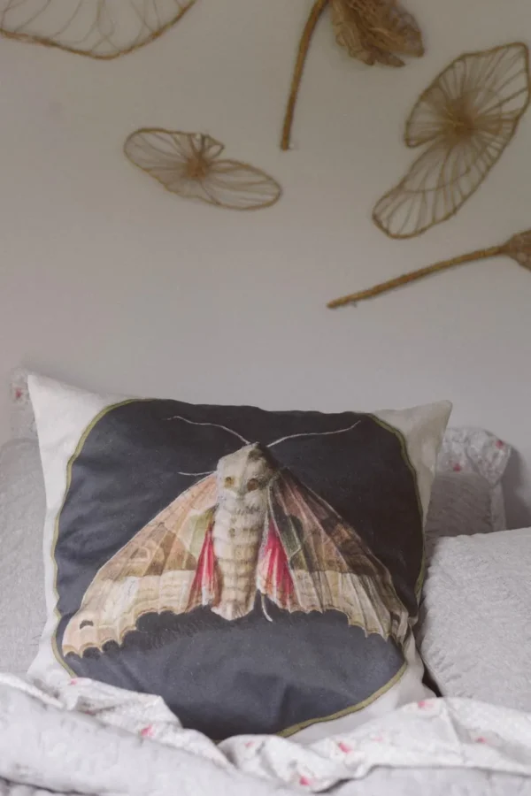 Moth Cushion Cover *Organic Cotton