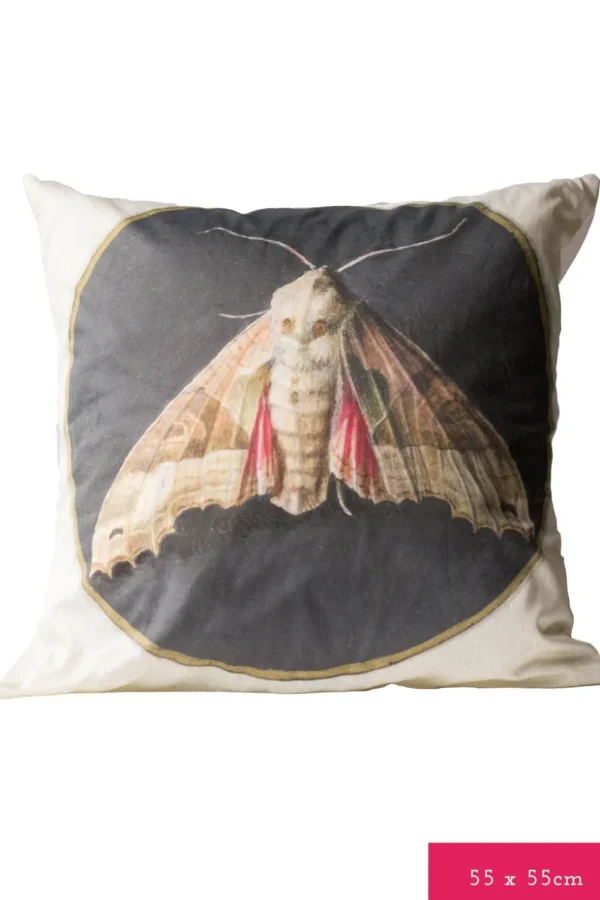 Moth Cushion Cover *Organic Cotton