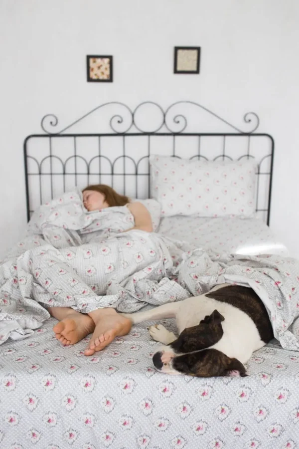 Pillowcase Set In Vienna *Organic Cotton