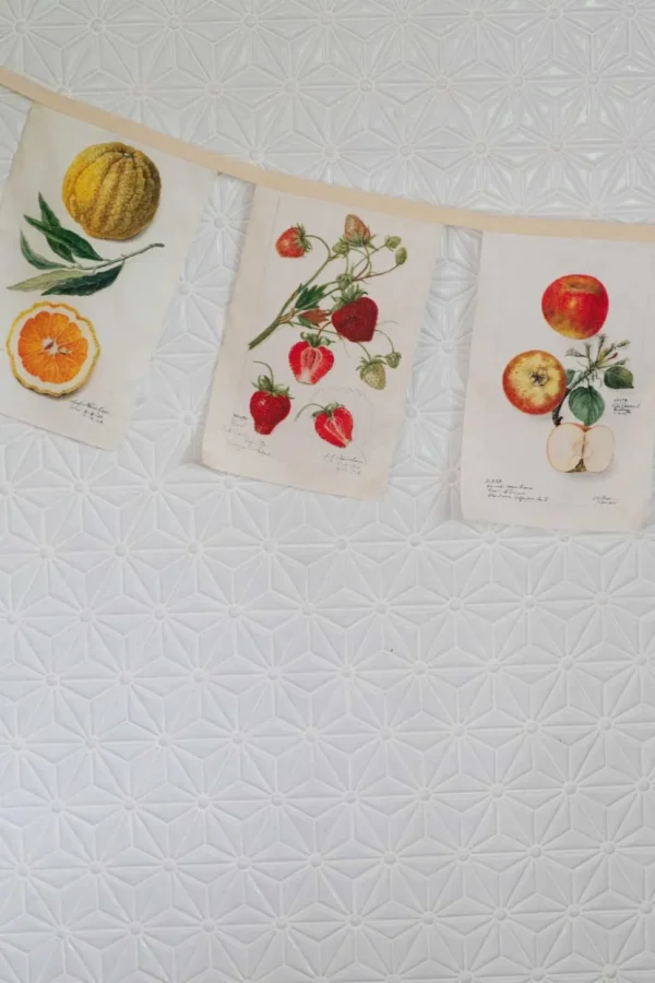 Vintage Fruit Garland